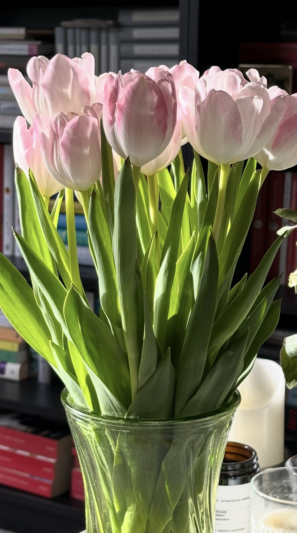 Pink tulips in sunlight
